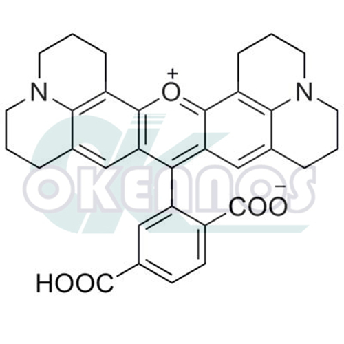 6-Carboxy-X- rhodamine;   6-ROX