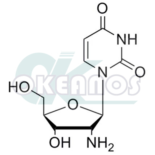 2'-Amino-2'- deoxyuridine